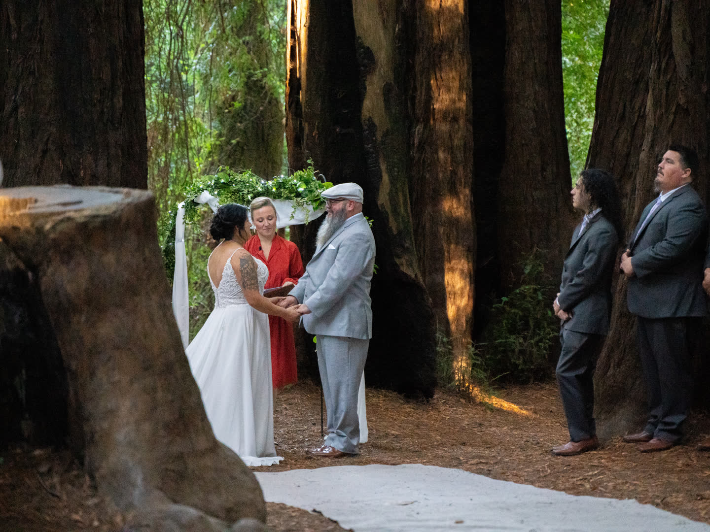A wedding ceremony among towering redwoods at a mountain venue