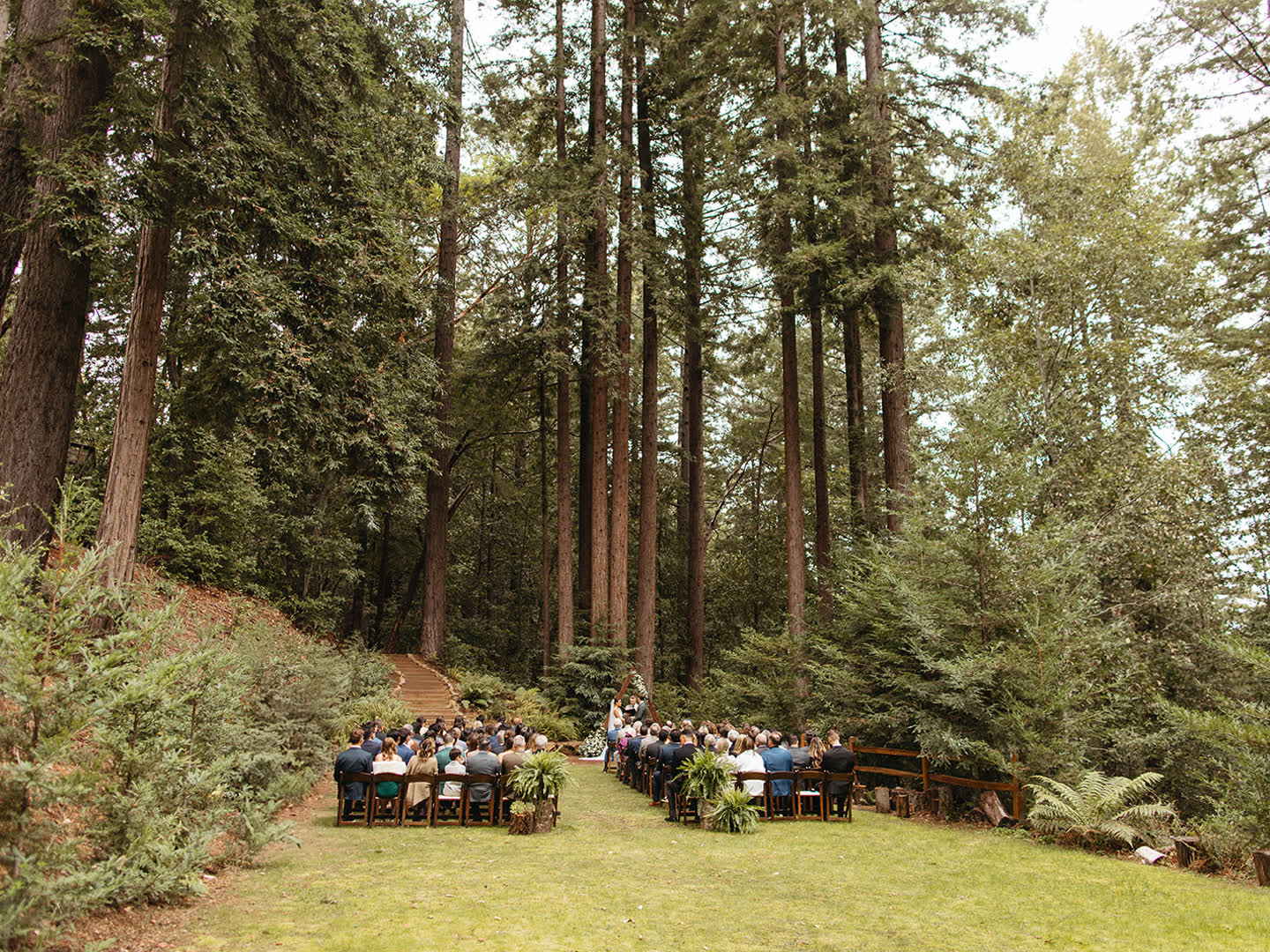 A redwood forest wedding ceremony in the California mountains