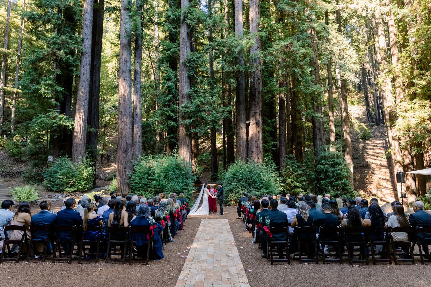 The full ceremony in the redwood grove seen from the back, guests on both sides of the brick aisle and redwoods rising above them