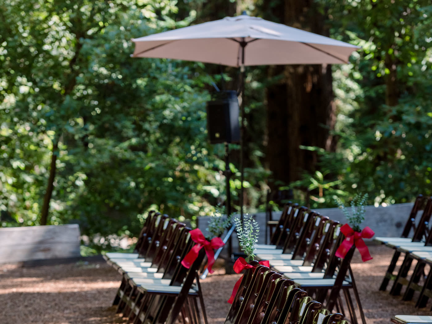 The ceremony speaker on a stand under a market umbrella, behind rows of chairs tied with red ribbon